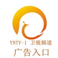 云南卫视电视台广告发布
