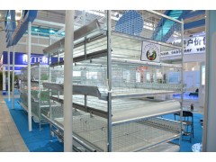 养殖场必备全自动化养鸡设备-中州牧业养殖设备