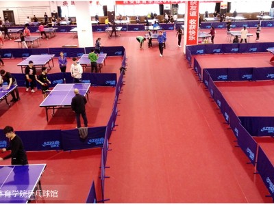 常州乒乓球羽毛球场pvc塑胶地板完美地板防滑绿质厂家直销