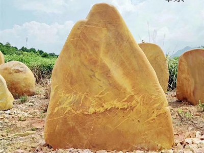 大石头校园风景农业出售 杭州招牌黄蜡石 义乌招牌石