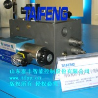厂家供应泰丰TAIFENG剪板机折弯机行业专用阀块系列