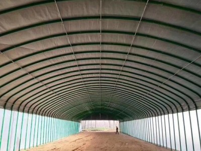 新型温室大棚 椭圆管定制棚 猪场自动化温室大棚 拱形温室大棚