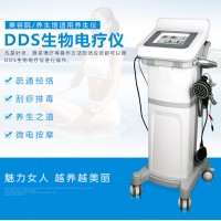 DDS生物理疗仪 DDS生物理疗仪效果