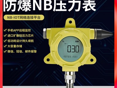 NB-IOT防爆压力表低功耗压力远程监控工业级