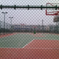 厂家订制 球场围网 篮球场围网 体育场围网 优质浸塑勾花网