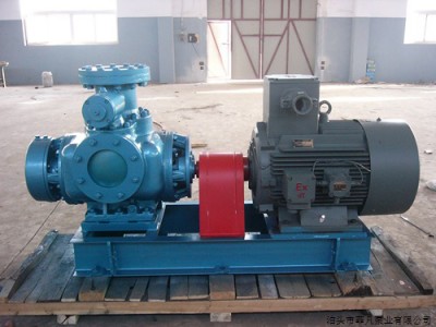 海南齿轮泵制造 海鸿泵阀经久耐用承接定制