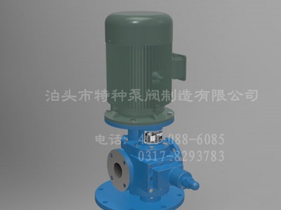 四川油泵零售/泊头特种泵定制生产各规格CYB系列稠油齿轮泵