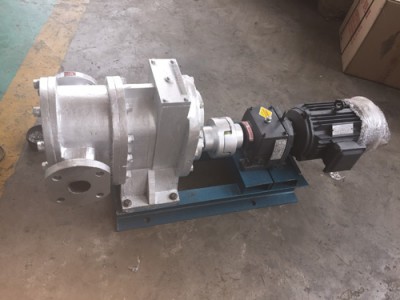 海南齿轮泵厂价批发/泊头特种泵订制各规格YCB型齿轮泵