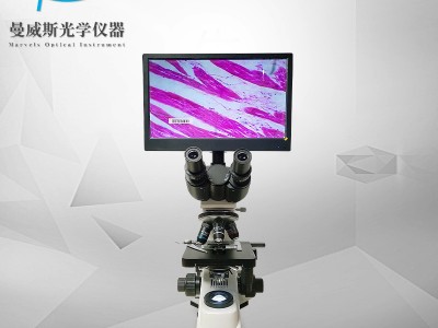 苏州厂家直销带拍照摄像测量功能一体数码放大生物显微镜