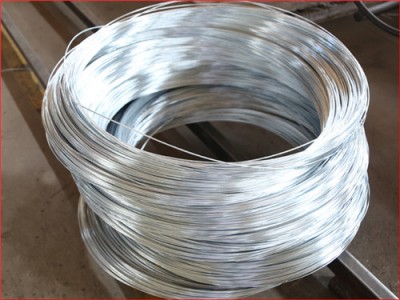 黑铁丝价格单 钢芯铝绞线厂家 志达伟业镀锌钢丝