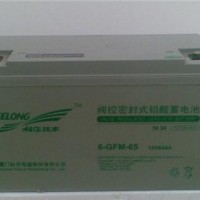 科华蓄电池6-GFM-65
