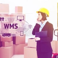 WMS仓储管理系统厂家-深蓝易网科技
