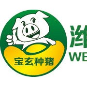 潍坊宝玄种猪有限公司