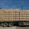 兰州木质包装箱-专业的木质包装箱定西哪里有售