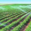 陕西PE管批发|优良的园林绿化PE管供应商当属宁夏顺雨节水灌溉