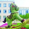 卡通绿雕厂家_江苏专业的卡通绿雕制作商
