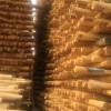 通化防腐油木杆_大量出售质量好的防腐油木杆