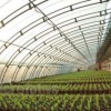 无土栽培温室报价-哪里有提供靠谱的无土栽培温室