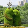 动物绿雕造型-动物绿雕制作哪家实力强