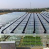 阳光板温室建造找叁圣农业技术服务-阳光板温室