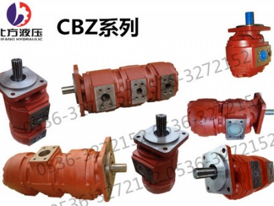 CBZ三联泵|划算的双联泵哪里有卖