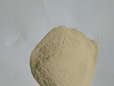 烟台贝壳粉肥料-优良的贝壳粉肥料辽宁宏洋贝壳供应