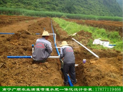 钦州节水灌溉系统安装_大量供应南宁滴灌管