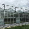 温室大棚-福建创新型的温室大棚