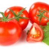 蔬菜配送-知名的蔬菜配送就在绿来福农副产品