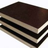 木模板供应-辽宁高性价支模板供应