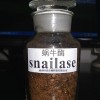 蜗牛酶检测_漳州口碑好的蜗牛酶冻干粉销售