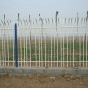 安平小区护栏网批发|衡水优良的锌钢护栏网生产厂家