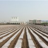 武威无色透明地膜生产厂家-优惠的安阳农膜价格