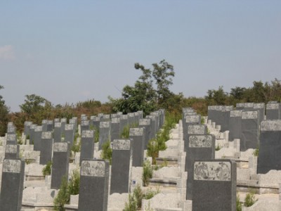 葫芦岛公益性墓地-品牌好的公益性墓园购买推荐
