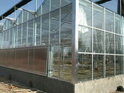 自动玻璃温室供应-精良的玻璃温室供应