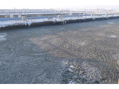 阜新活性污泥菌-想买耐用的活性污泥设备-就来丹东鸿海环保设备