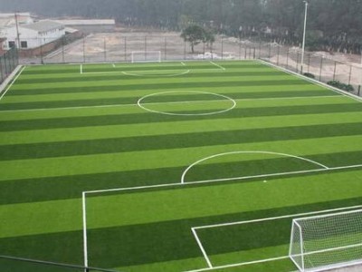 沧州足球场人造草坪_哪里能买到优良的足球场人造草坪
