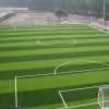 沧州足球场人造草坪_哪里能买到优良的足球场人造草坪