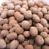 陶粒厂家-供应广东高质量的陶粒