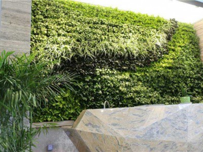 海南植物绿墙公司哪家好-广东资深的垂直立体绿化生态设计推荐