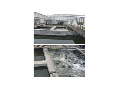 辽宁生活污水处理厂家-提供不错的生活污水处理