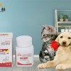 邯郸宠物保健品厂家|知名的宠物保健品批发商