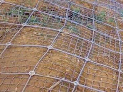 浙江菱形边坡防护网-衡水提供好用的菱形边坡防护网