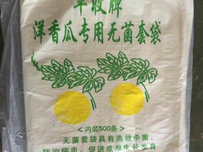 优质套瓜袋_寿光海纳温室材料供应同行中口碑好的套瓜袋