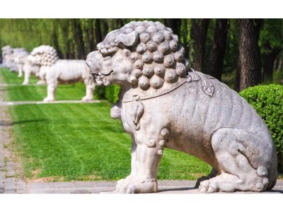 动物石雕哪家好-供应泉州特色的动物石雕
