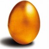金蛋-供应西安销量好的西安金蛋
