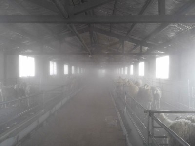 四川养殖场消毒除臭设备-河南价格合理的养殖场消毒除臭设备