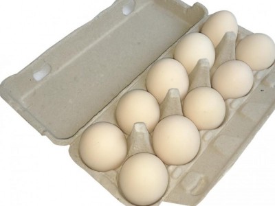鸡蛋纸托多少钱_江苏具有口碑的鸡蛋纸托厂家