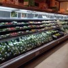 蔬菜保鲜柜-西安性价比高的西安出售 蔬菜保鲜柜