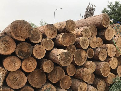 西北木材_品质好的木材_厂家直销